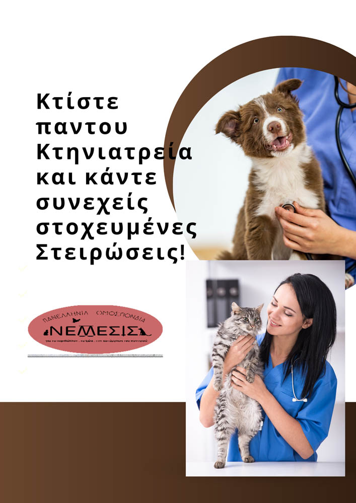 Ermionida’s Strays - 2