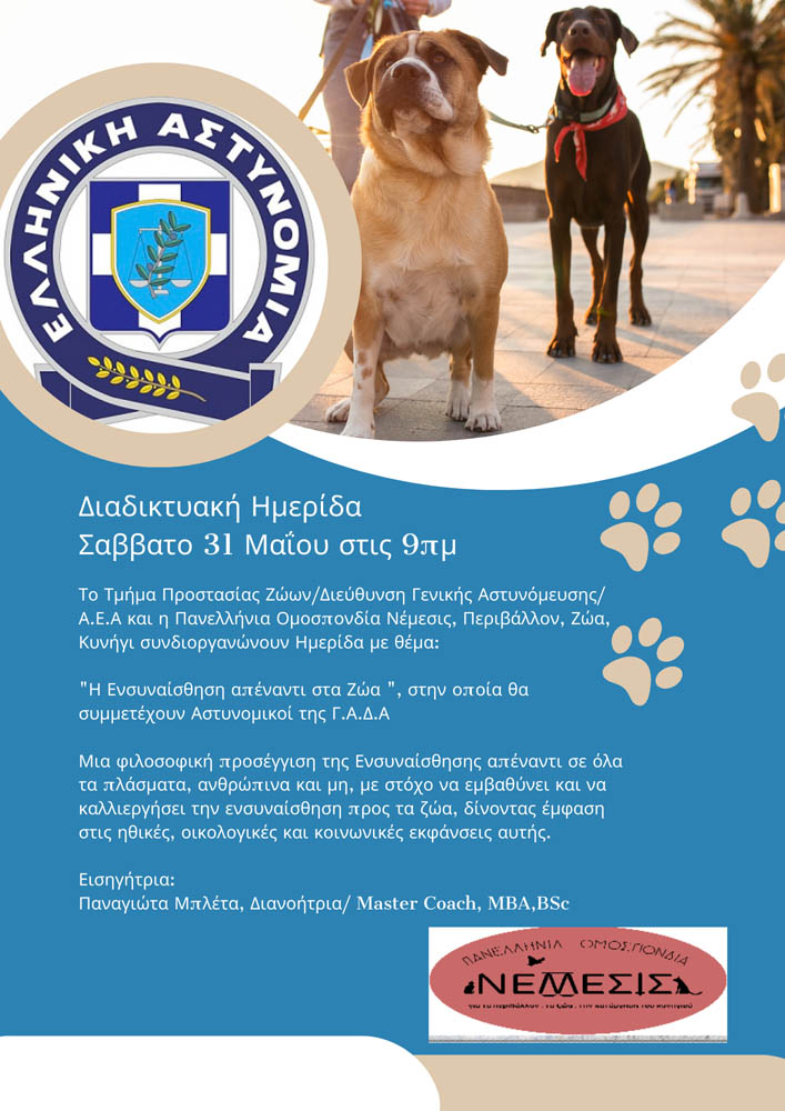 Ermionida’s Strays - 3