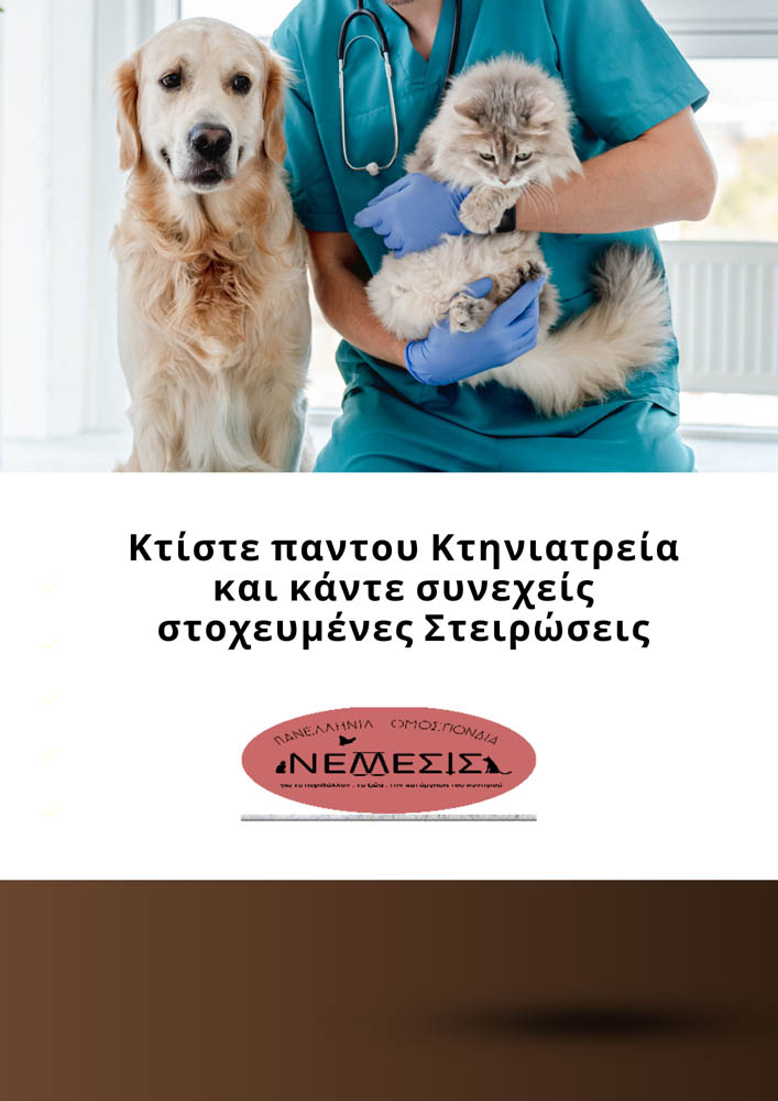 Ermionida’s Strays - 3
