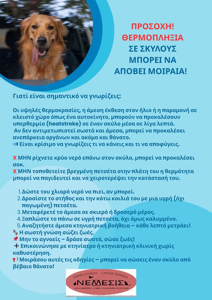 nemesis-yliko-16