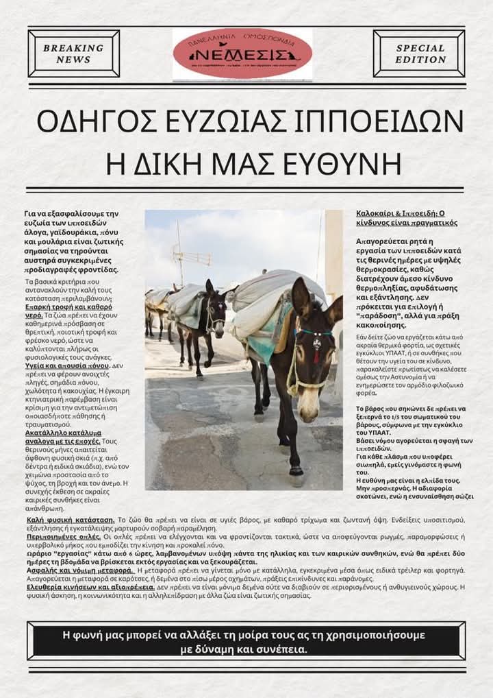 nemesis-yliko-24