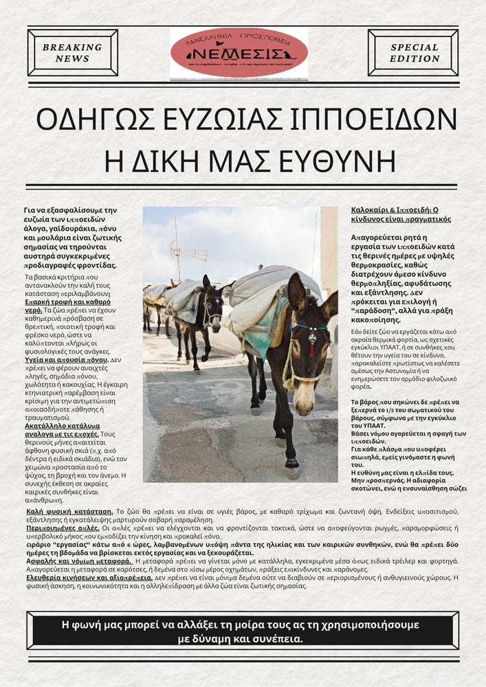 White And Blue Simple Company Newsletter - 1