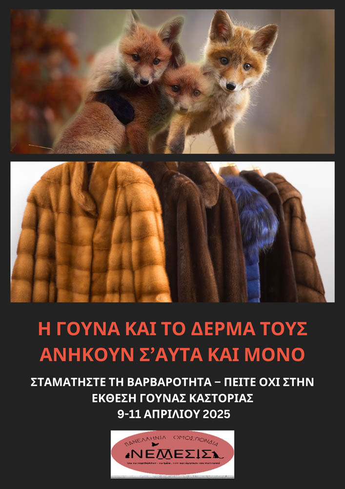 Black White Animal Abuse Fight Poster - 2