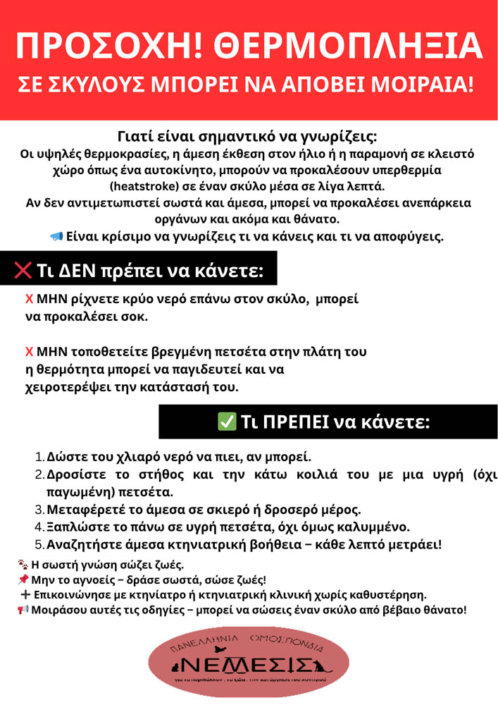 Προσοχή! Υπερθερμία σε Σκύλους – Μ