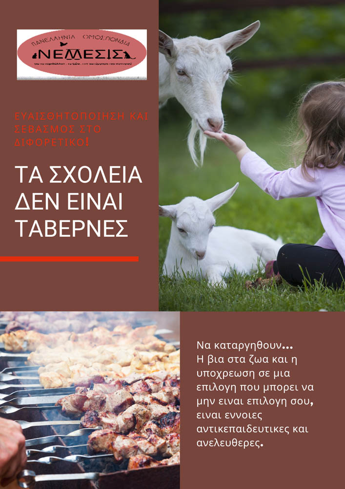 Black and Orange Animals Advertising Flyer - 1